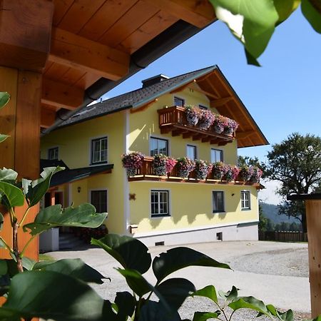 Apartmán Huberhof Im Almenland Sankt Kathrein am Offenegg Exteriér fotografie