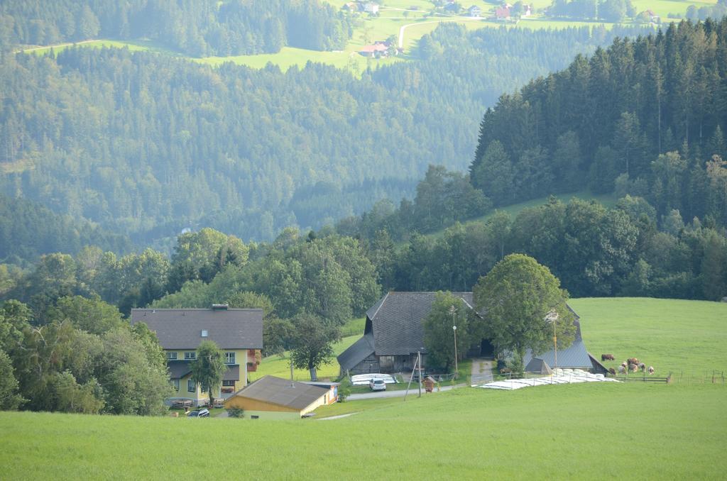 Apartmán Huberhof Im Almenland Sankt Kathrein am Offenegg Exteriér fotografie