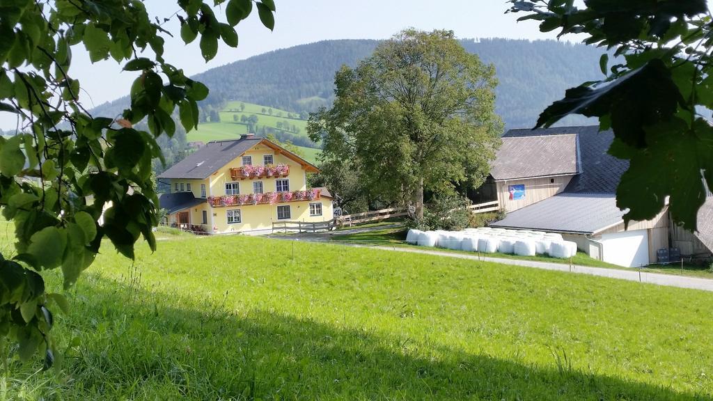 Apartmán Huberhof Im Almenland Sankt Kathrein am Offenegg Exteriér fotografie